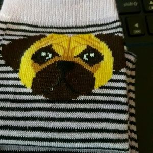 Brand New Pug Socks. Size 5-9